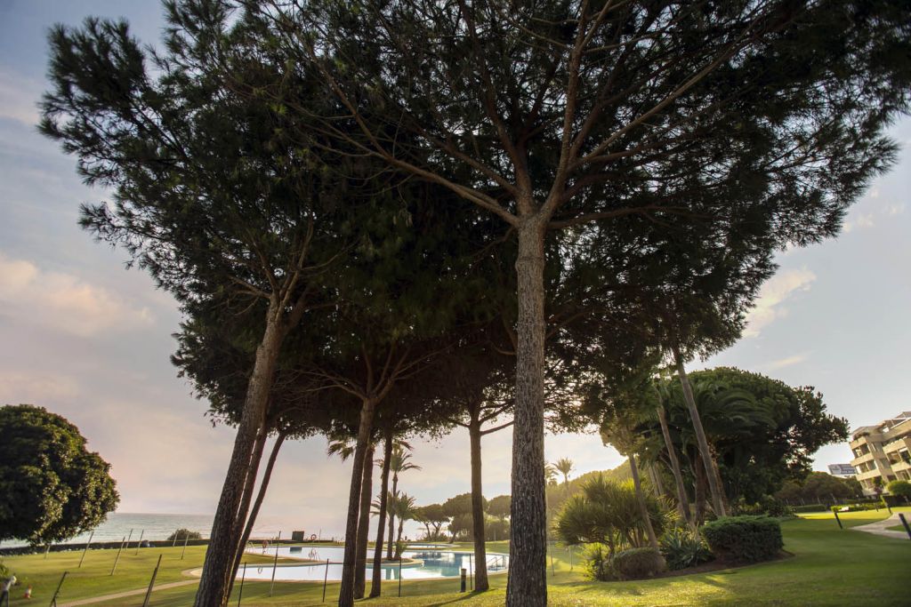 Home Los Granados de Cabopino